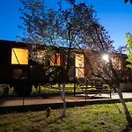 Campsite Train In The Forest *