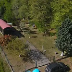 Train In The Forest Campsite *