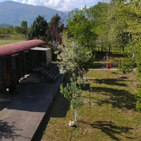 Kemping Train In The Forest *