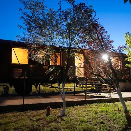 Kemping Train In The Forest *