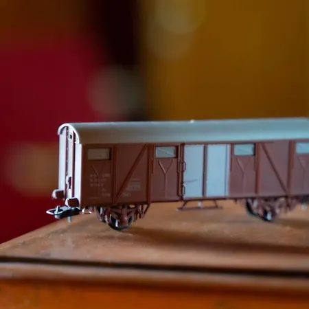 Train In The Forest Campsite