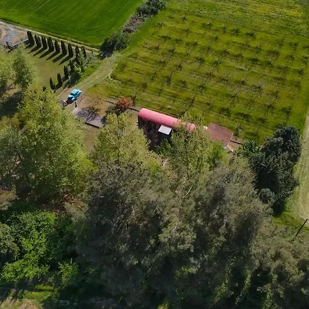 Train In The Forest Kemping Aridaía