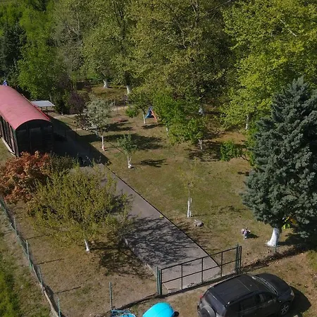 Train In The Forest Camping *