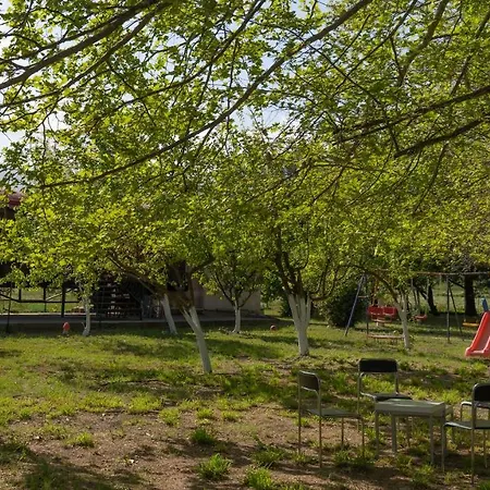 Kemping Train In The Forest