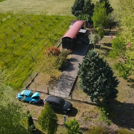 Train In The Forest Kemping