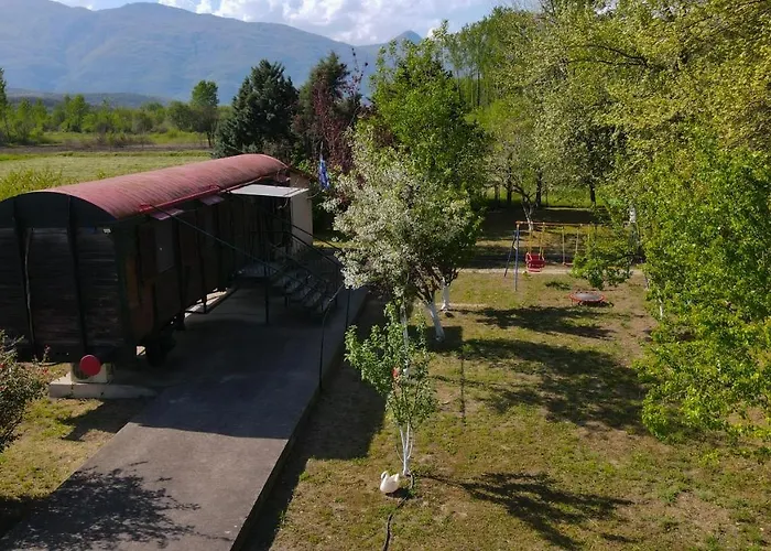 Camping Train In The Forest *