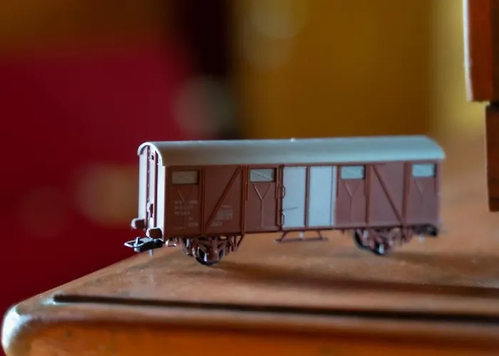 Train In The Forest Camping