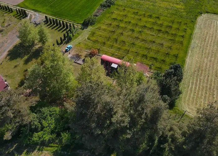 Train In The Forest Camping Aridaía