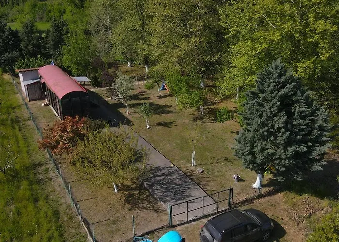 Train In The Forest Camping *