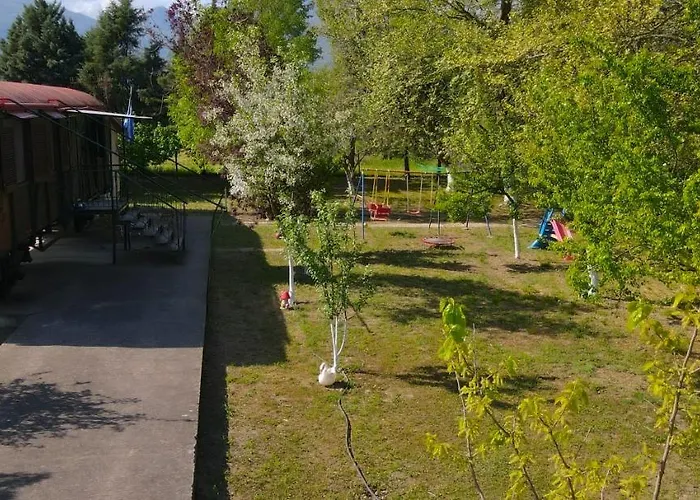 Train In The Forest Aridaía