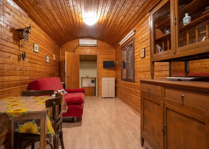 Train In The Forest Camping