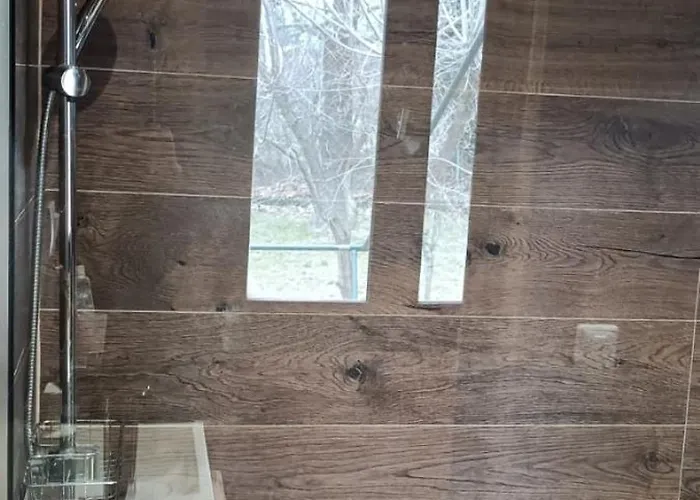 Train In The Forest Camping Aridaía